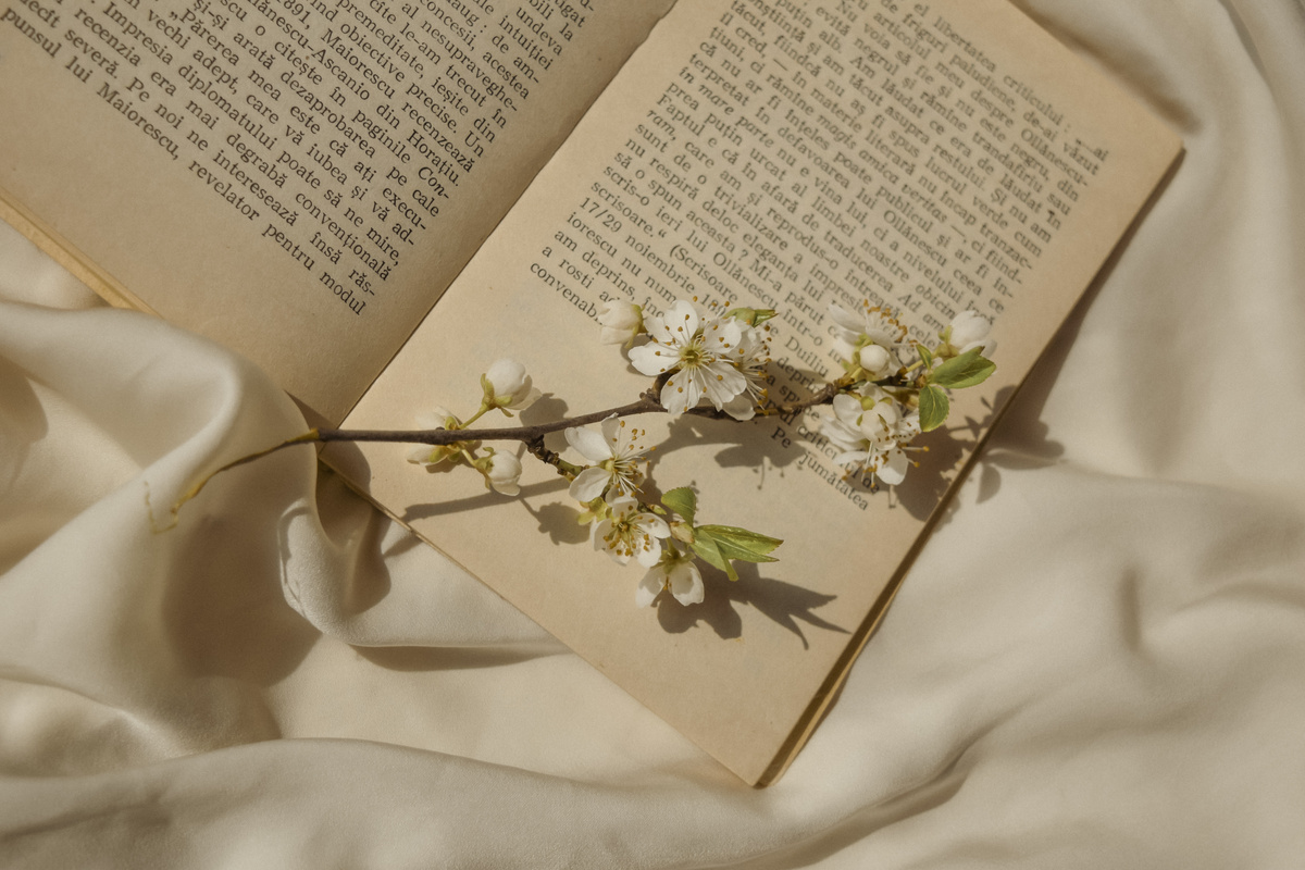White Flowers on Book Page